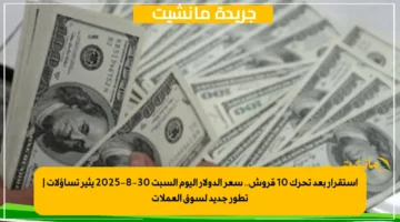 استقرار بعد تحرك 10 قروش.. سعر الدولار اليوم السبت 30 8 2025 يثير تساؤلات تطور جديد لسوق العملات 1